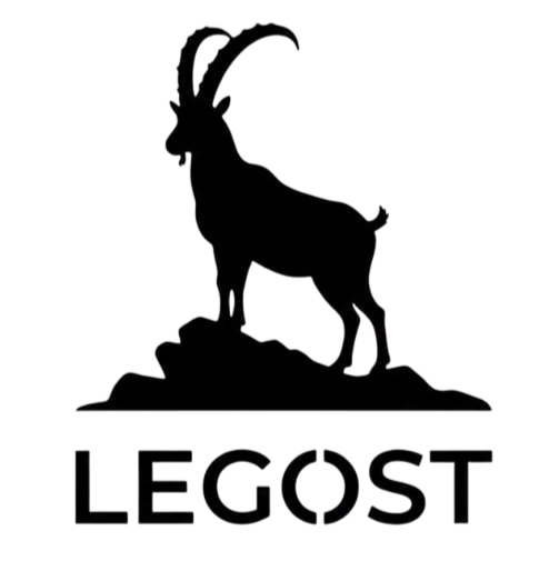 LEGOST NeuroLink